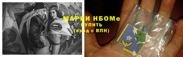 прущие грибы Баксан
