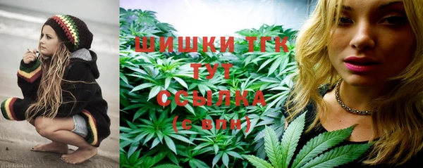 прущие грибы Баксан