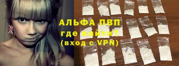 прущие грибы Баксан