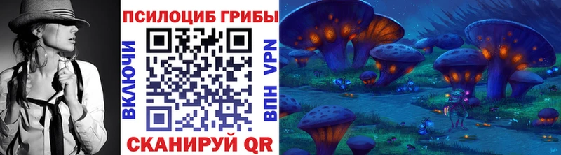 дарнет шоп  Петухово  Псилоцибиновые грибы Psilocybine cubensis 